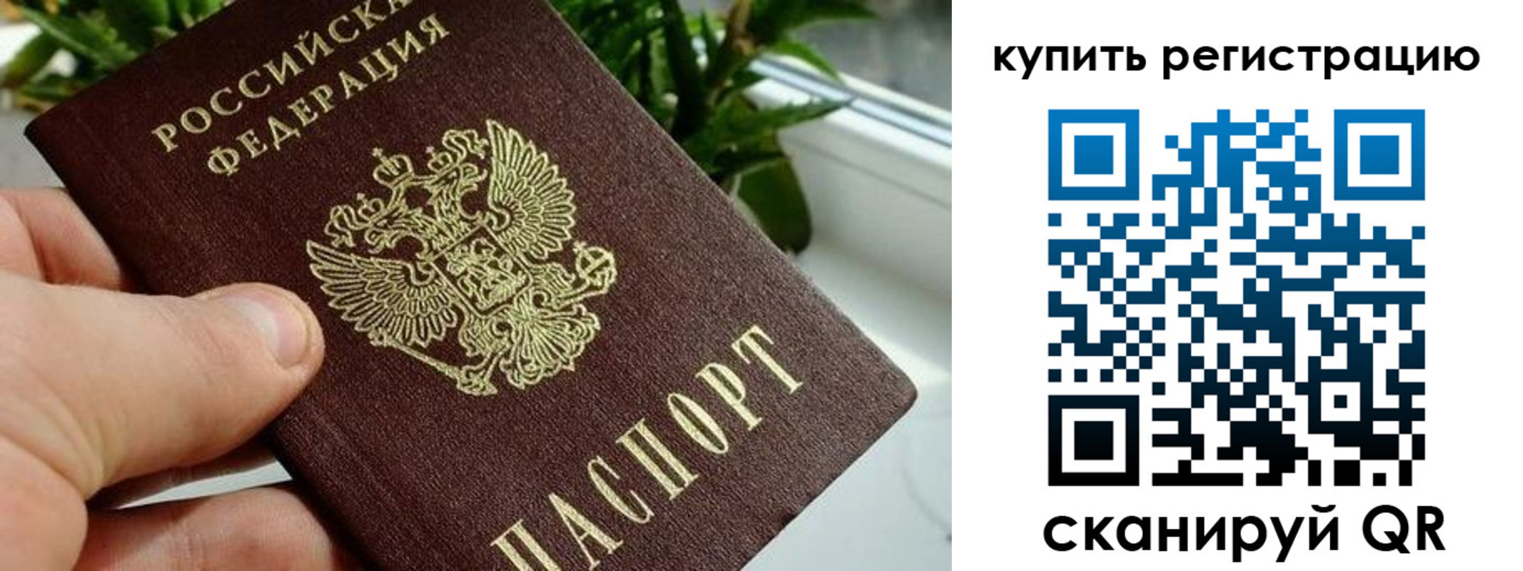 прописка гарантия в Алтайском крае